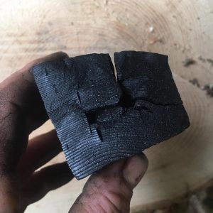 A piece of charcoal