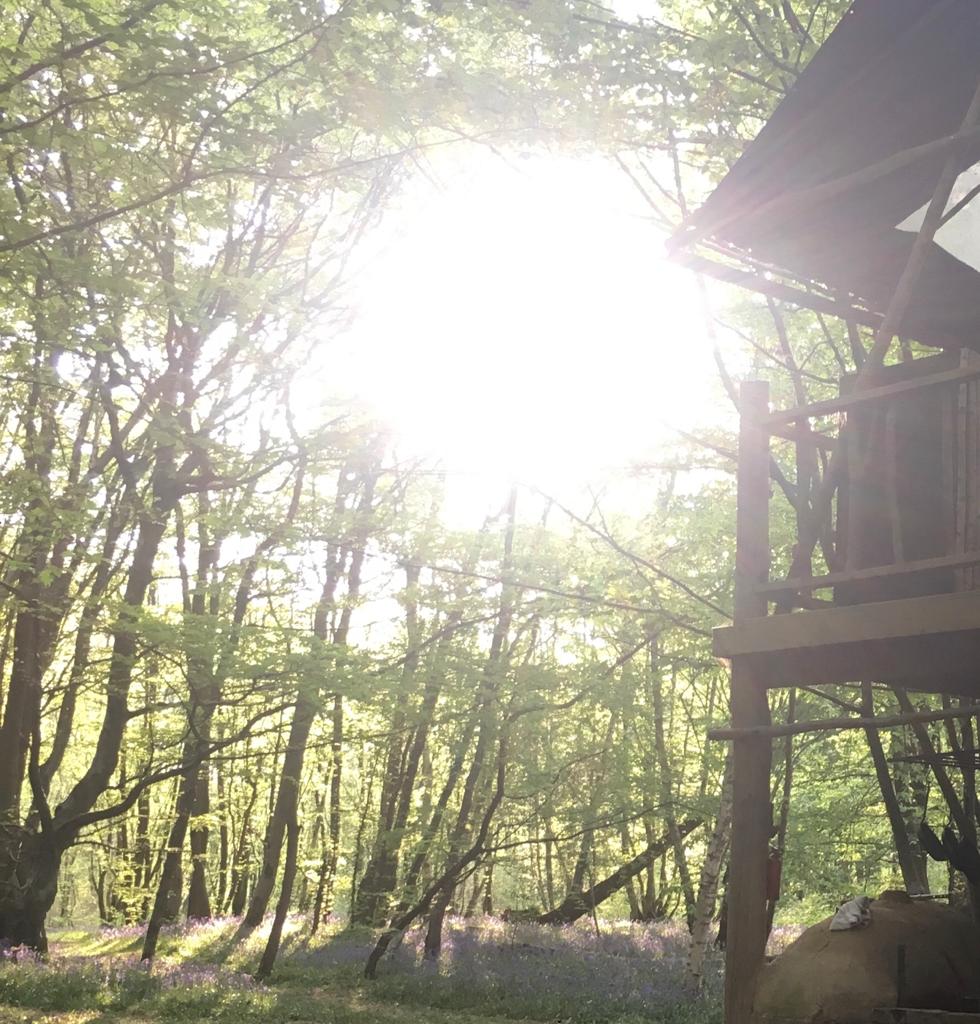 Solar Powered charcoal - whittle and flame process